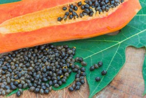 Te conviene comer semillas de papaya