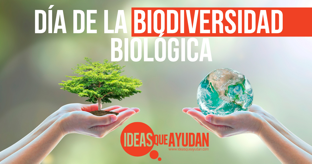 D A De La Biodiversidad Biol Gica Ideas Que Ayudan