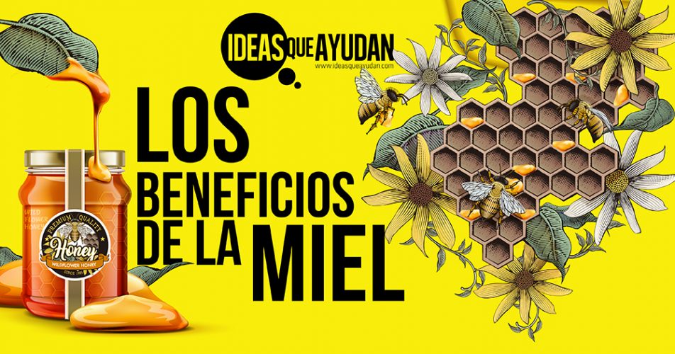 Los Beneficios De La Miel Que No Conocías | Ideas Que Ayudan