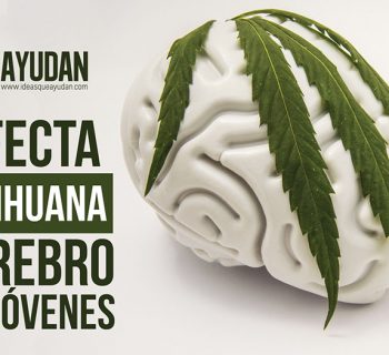 marihuana el cerebro de los jóvenes