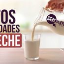 mitos y realidades de la leche