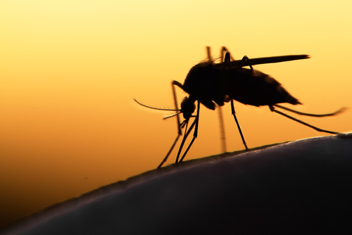 Guillain-Barré, el otro padecimiento asociado al Zika