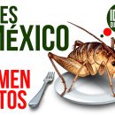 lugares en México donde se comen insectos