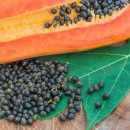Te conviene comer semillas de papaya