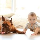 Animales que proporcionan estimulación temprana a tus hijos