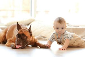 Animales que proporcionan estimulación temprana a tus hijos