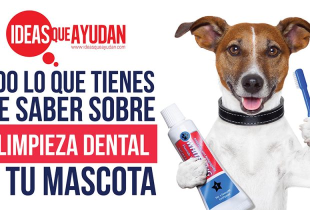 limpieza dental de tu mascota