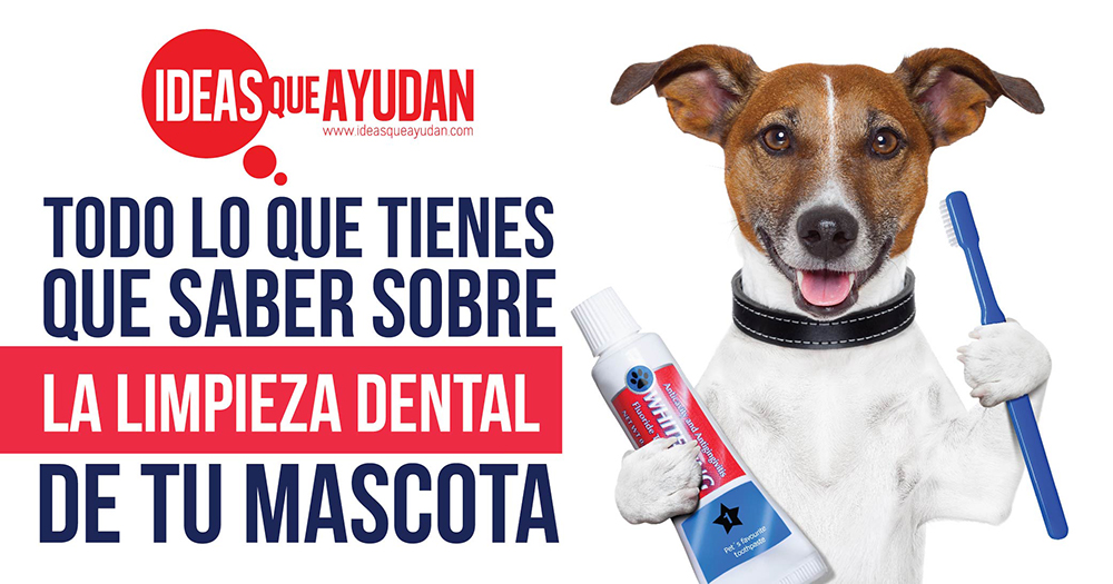 limpieza dental de tu mascota