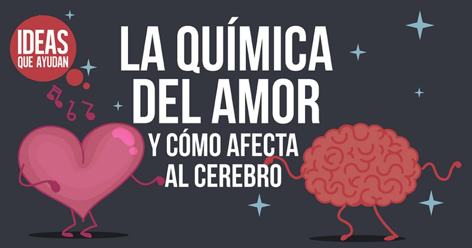 La Química Del Amor Y Cómo Afecta Al Cerebro | Ideas Que Ayudan