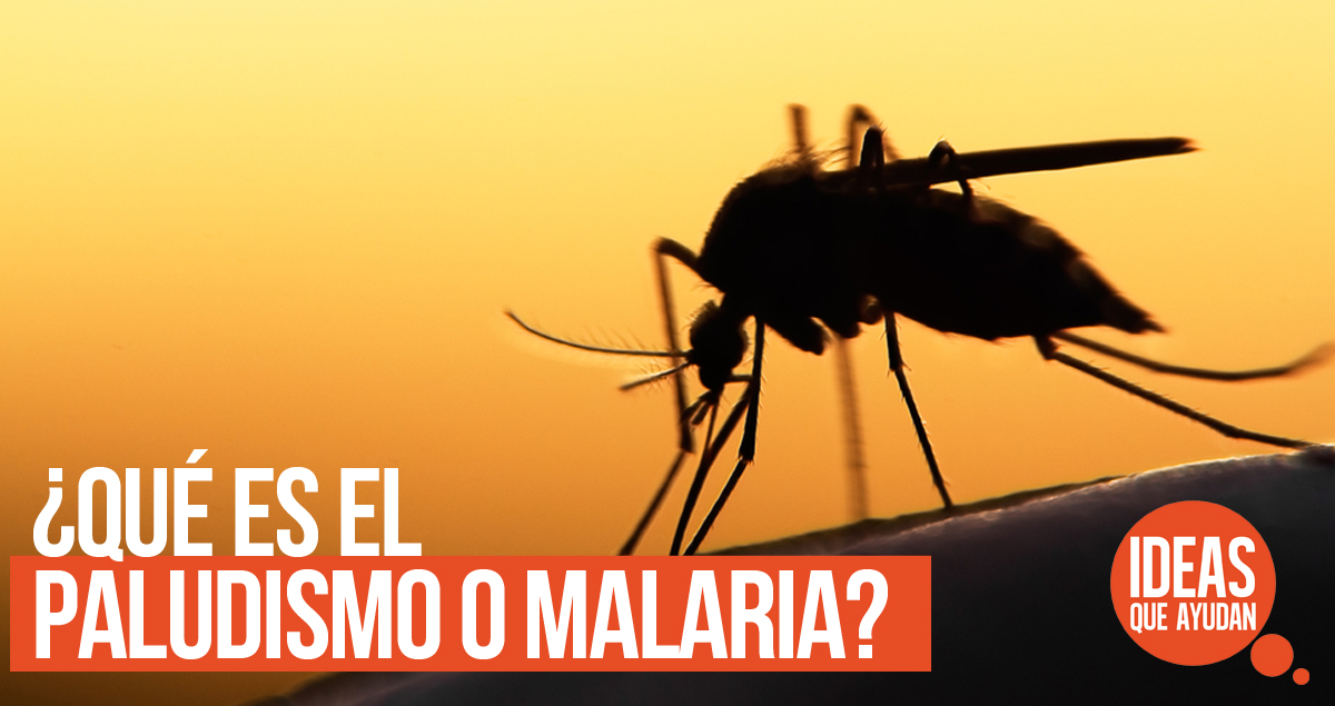 ¿Qué es el paludismo o malaria?