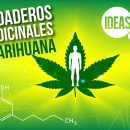 usos medicinales de la marihuana