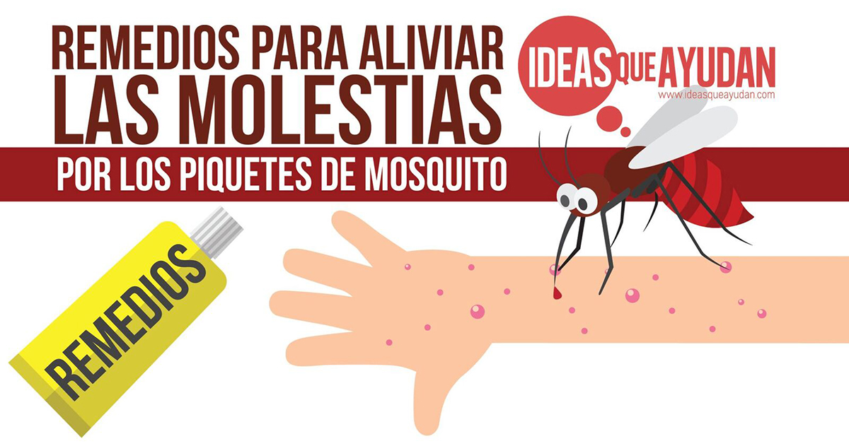Remedios para aliviar las molestias por los piquetes de mosquito