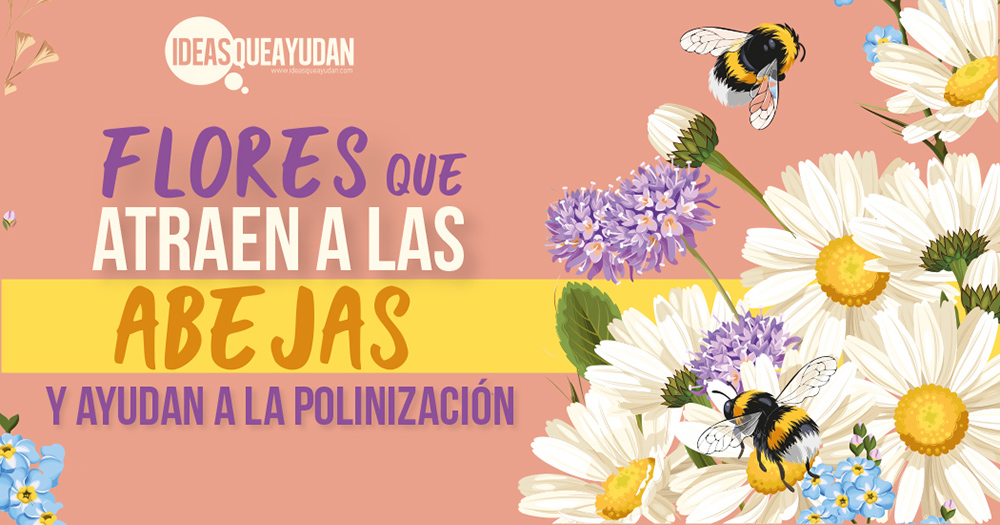 Flores que atraen a las abejas y ayudan a la polinización