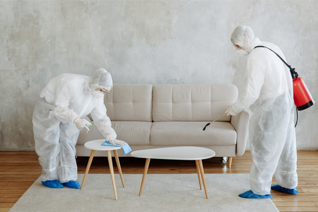 ¿Cómo desinfectar tu casa después del Covid-19?