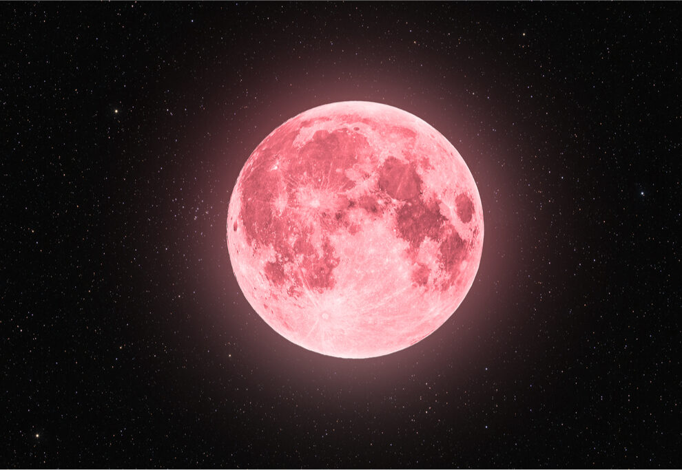 ¡¿Luna rosa?! ¿Qué es este extraño fenómeno?