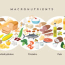 Macro nutrientes y micro nutrientes, conócelos