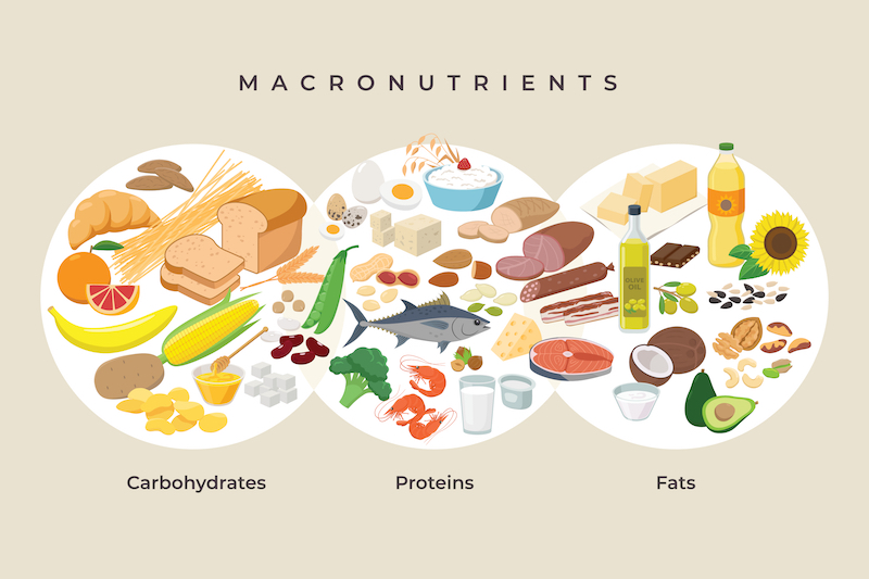 Macro nutrientes y micro nutrientes, conócelos