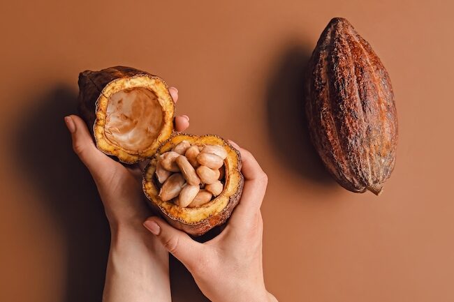 Conoce las diferencias entre el cacao y la cocoa