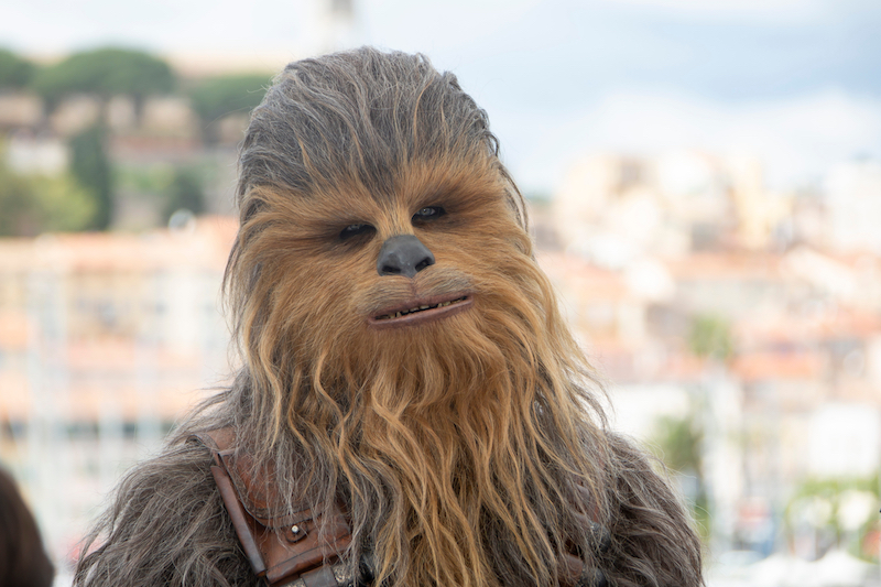 Star Wars, la inspiración de George Lucas para crear a Chewbacca