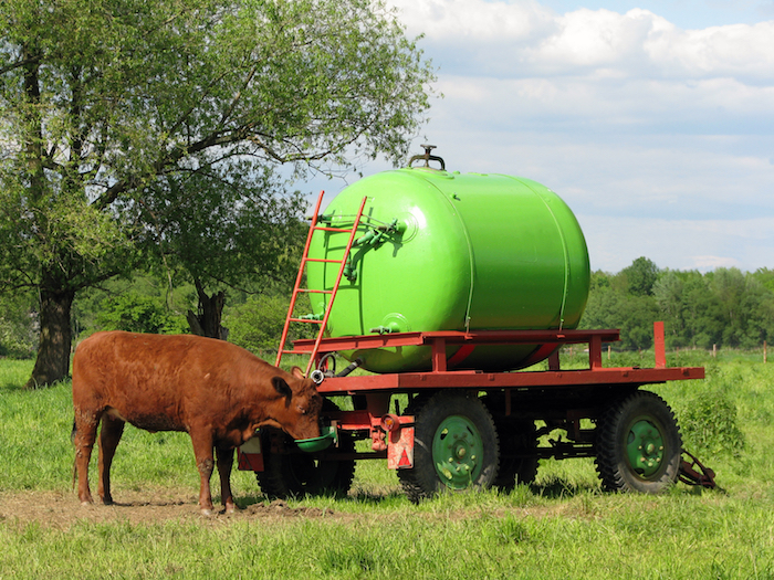 ¿Cuántos litros de agua se necesitan para la ganadería? Huella hídrica de los alimentos