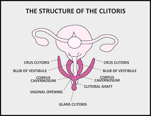 Orgasmo clitoriano
